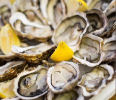 Plateau d'huitres